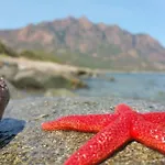 Maris Holidays - Close To The Sea, 5 Mins Walk
