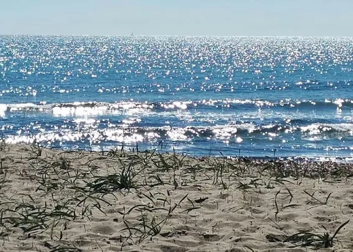 Maris Holidays - Close To The Sea, 5 Mins Walk